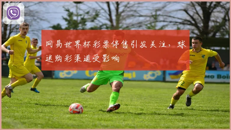 网易世界杯彩票停售引发关注，球迷购彩渠道受影响